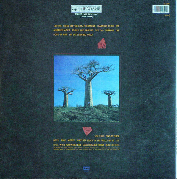 Pink Floyd : Delicate Sound Of Thunder (2xLP, Album, RP, Gat)