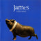 James : Millionaires (CD, Album, Uni)