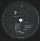 The Stonefunkers : Can U Follow? (7", Single)