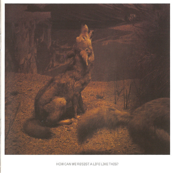 Kosheen : Resist (CD, Album, Enh, S/Edition)