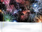 Various : Now That's What I Call Music! 83 (2xCD, Comp)