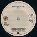 Christopher Cross : Arthur's Theme (Best That You Can Do) (7", Single, Pap)