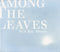 Sun Kil Moon : Among The Leaves (CD, Album)