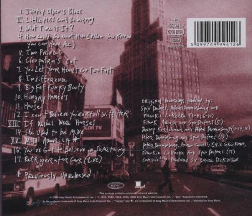 Spin Doctors : Just Go Ahead Now: A Retrospective (CD, Comp)