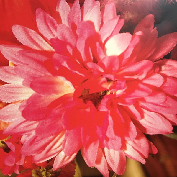 Beach House : Devotion (2xLP, Album, RE, Blu + CD, Album)