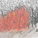 Explosions In The Sky : The Earth Is Not A Cold Dead Place (CD, Album)