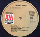 Gallagher And Lyle* : Gallagher And Lyle (LP, Album, RE)
