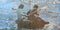 Gallagher And Lyle* : Gallagher And Lyle (LP, Album, RE)