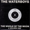 The Waterboys : The Whole Of The Moon (7", Single, Sil)