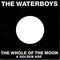 The Waterboys : The Whole Of The Moon (7", Single, Sil)