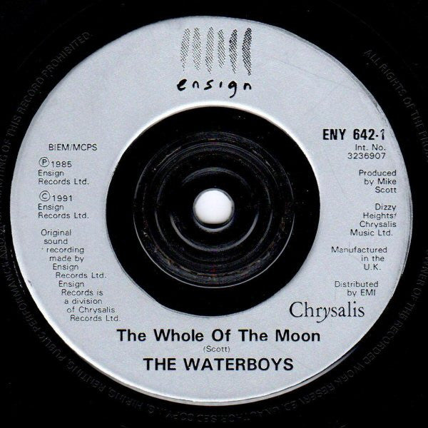 The Waterboys : The Whole Of The Moon (7", Single, Sil)