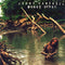Jerry Cantrell : Boggy Depot (CD, Album)