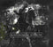 Kingdom Of Sorrow : Kingdom Of Sorrow (CD, Album, Dig)