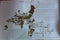 Various : 2K (12")