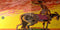 Brinsley Schwarz : Brinsley Schwarz (LP, Album, Gat)
