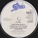 Western Block Introducing Terri Symon : Right Here Right Now (7", Single)