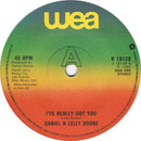 Daniel Boone & Lelly Boone : I've Really Got You (7")