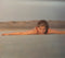 Tanya Donelly : Pretty Deep (CD, Single, CD1)