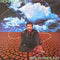 Ronnie Laws : Solid Ground (LP, Album)