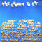 Various : Nice Enough To Eat (LP, Comp)