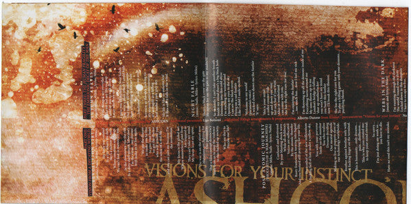 Ashcorn : Visions From Your Instinct (CD, Album)
