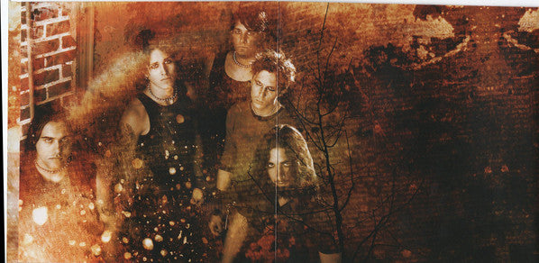 Ashcorn : Visions From Your Instinct (CD, Album)