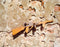Various : Help (CD, Comp)