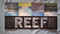 Reef : Rides (CD, Album)