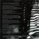 Lynn Miles : Night In A Strange Town (CD, Album)