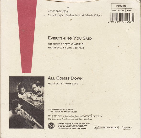 Hot House : Everything You Said (7", Single)