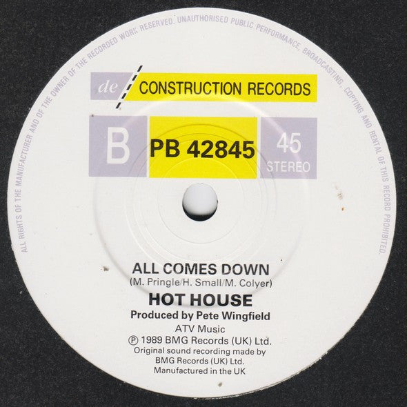 Hot House : Everything You Said (7", Single)