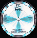 Michael Lovesmith : Break The Ice (7")