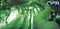 Cyan (10) : The Creeping Vine (CD, Album)