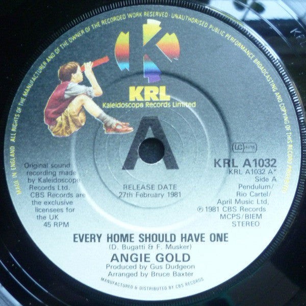 Angie Gold : Every Home Should Have One (7", Promo)
