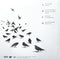 Fat Freddy's Drop : Blackbird (2xLP, Album)