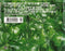 Basement Jaxx : Remedy (CD, Album)