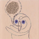 Devendra Banhart : Rejoicing In The Hands (CD, Album)
