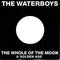 The Waterboys : The Whole Of The Moon (7", Single, Pap)