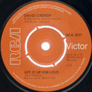 David Cassidy : I Write The Songs (7", Single, Pus)