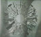 Carcass : Surgical Steel (CD, Album, Dlx, Ltd, Dig)