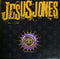 Jesus Jones : Who? Where? Why? (The 12" Mixes) (12", Single)