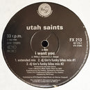 Utah Saints : I Want You (12")