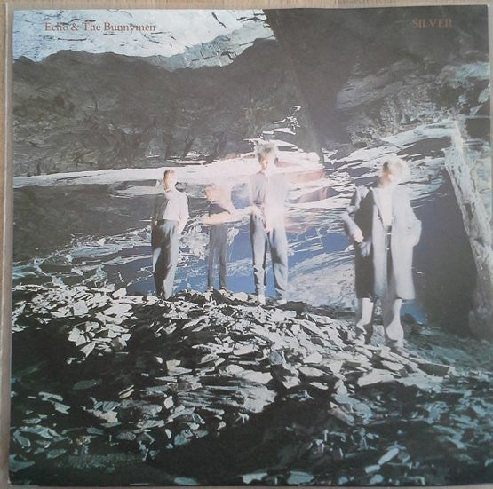 Echo & The Bunnymen : Silver (7", Single)