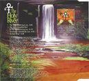 The Artist (Formerly Known As Prince) : The Holy River (CD, Single, CD2)