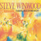 Steve Winwood : Talking Back To The Night (CD, Album, RE)