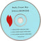 Badly Drawn Boy : Disillusion (CD, Single, CD2)