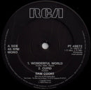 Sam Cooke : Wonderful World (12", EP, Mono, Lab)