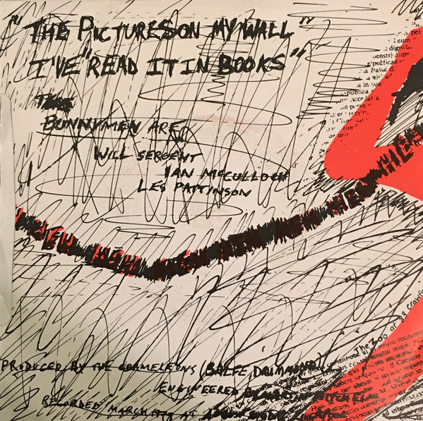 Echo & The Bunnymen : The Pictures On My Wall (7", Single, dar)