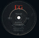 Toyah : Echo Beach (7", Single)