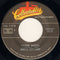 B. Bumble & The Stingers / Anita Bryant : Bumble Boogie / Paper Roses (7")